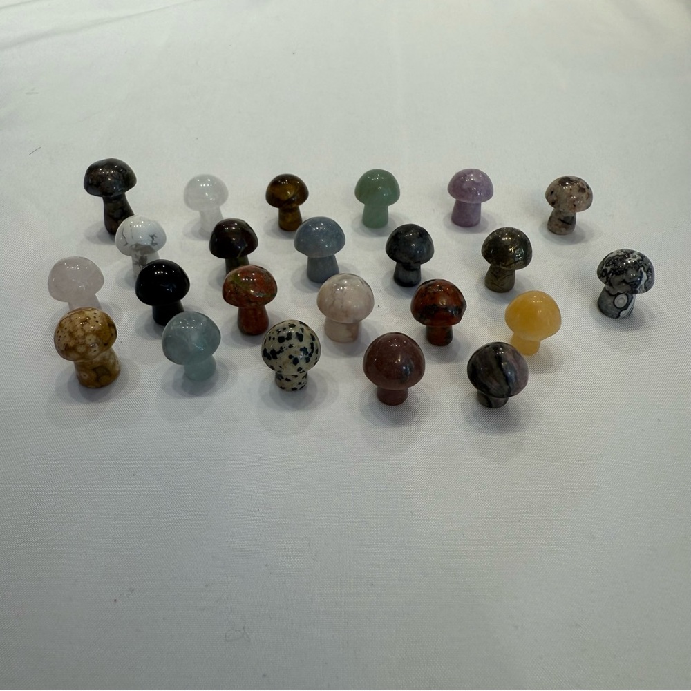 Crystal Mini Mushroom Lot of 23 - all‎ different material